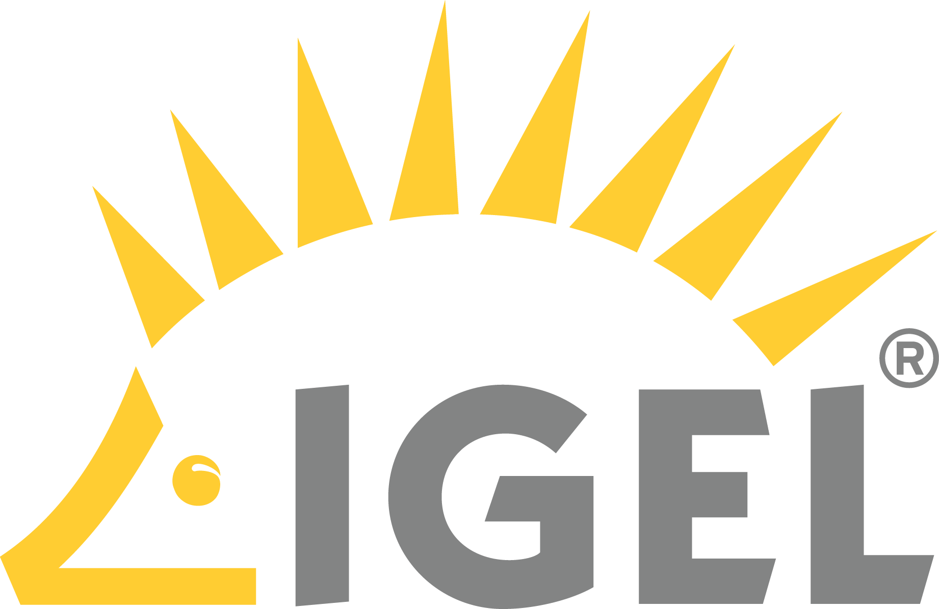 IGEL Technology GmbH